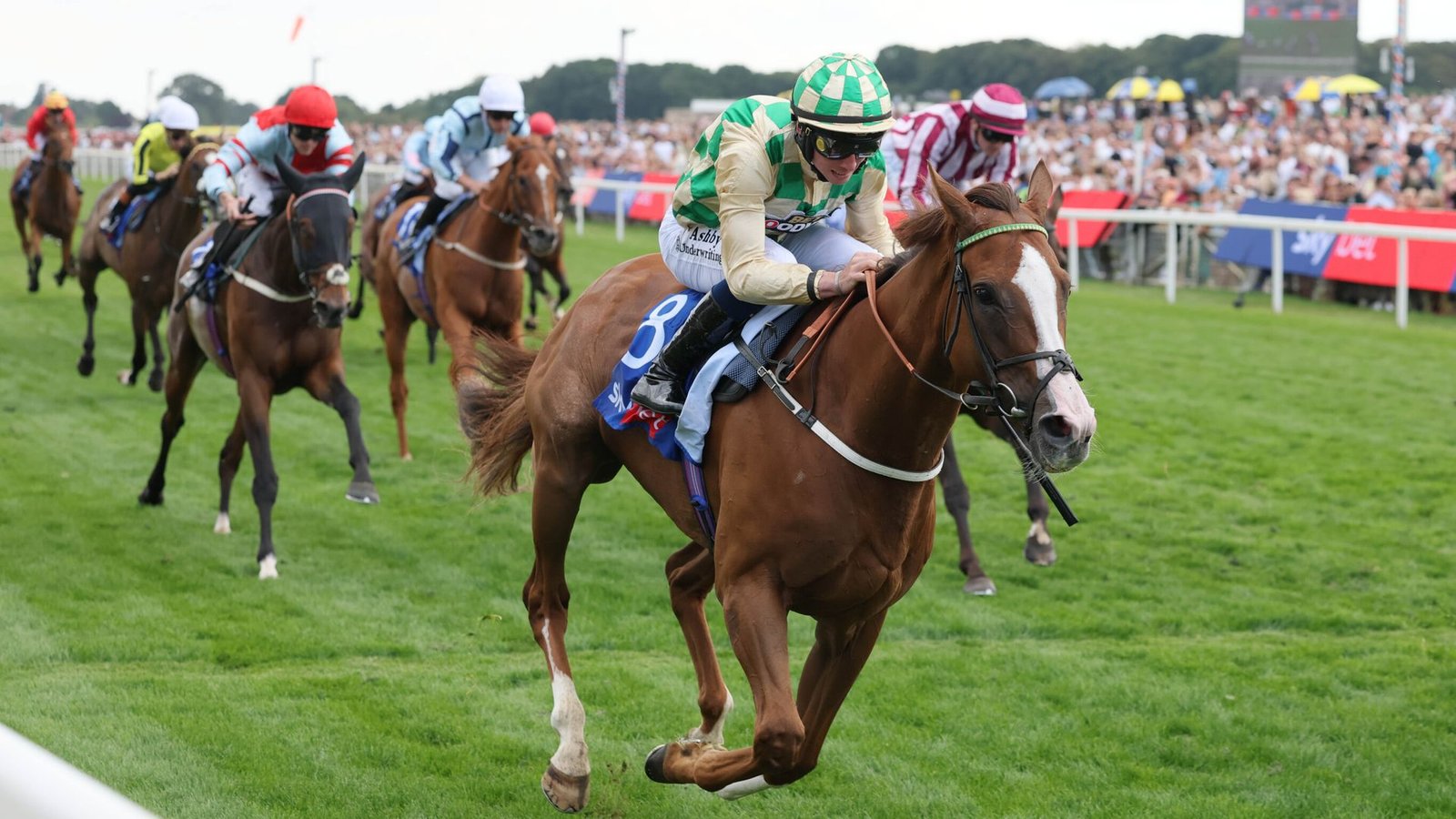 Daiquiri keeps rivals at Bay in thrilling Ebor