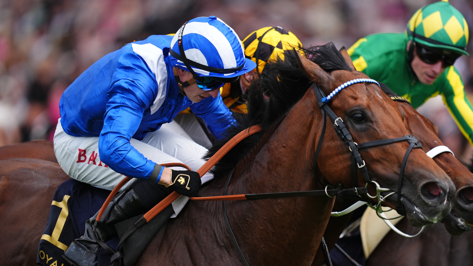 Almeraq Dominates Betfair Sprint Cup at Haydock Park