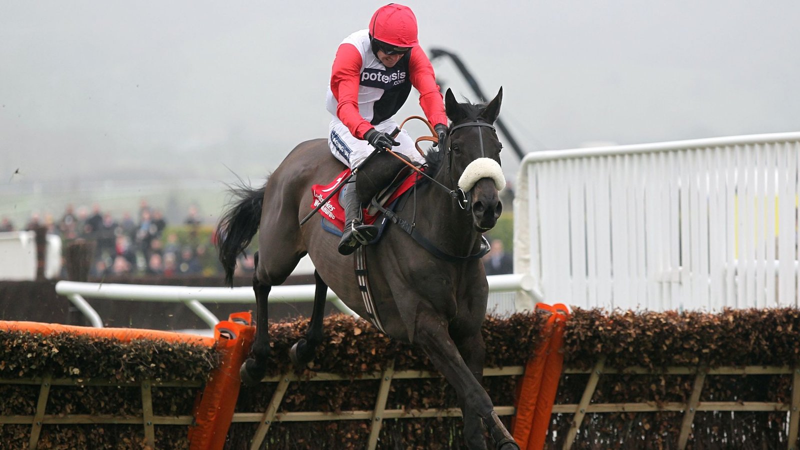 Big Buck's, Legendary Staying Hurdler, Passes Away at 23