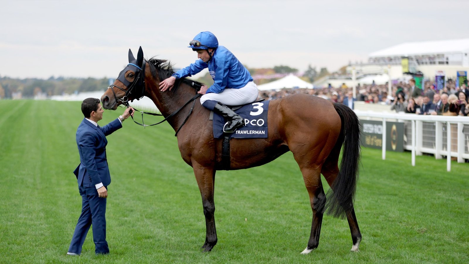Godolphin's Gold Cup hero Trawlerman retired