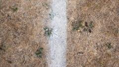 WRU posts pitch safety advice over hot, dry summer