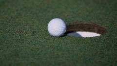 Golfer admits 'stupidity' after faking hole-in-one
