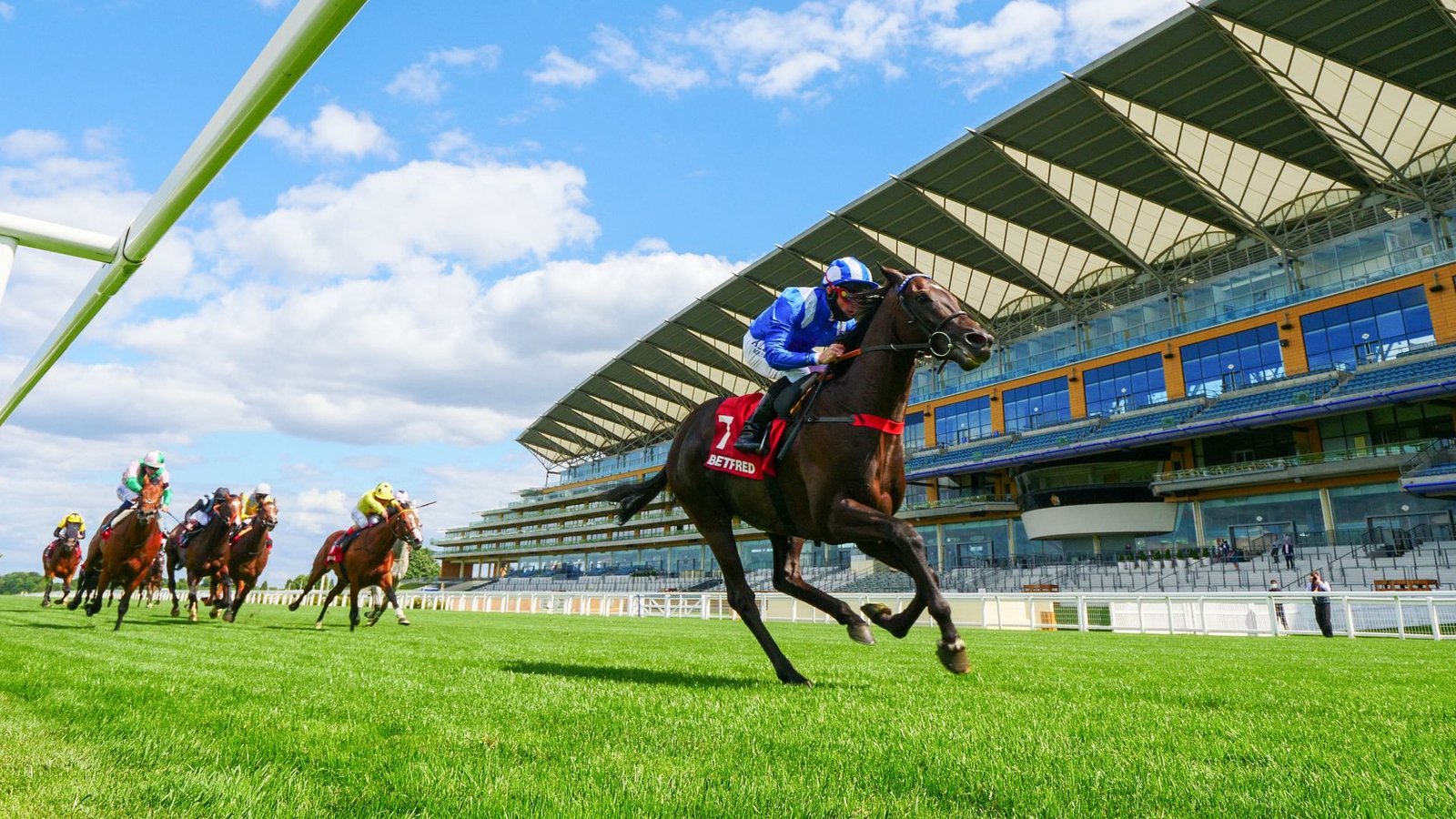 Heyzoom Aims for Redemption at Ascot After Recent Setback