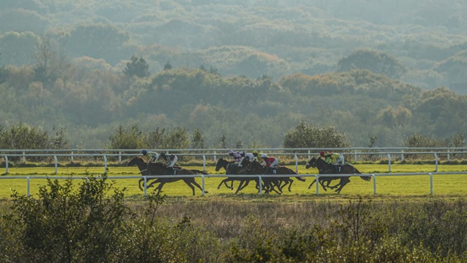 Ffos Las Set to Host Exciting Six-Race Card Live on Sky Sports Racing