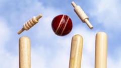 Team concedes cricket match over broken printer