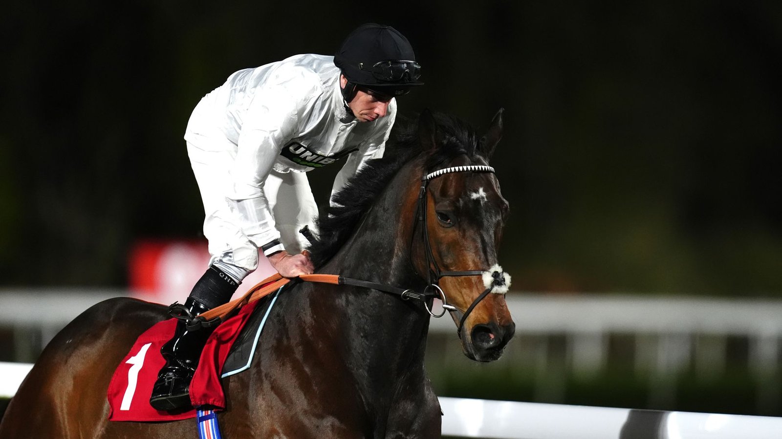 Constitution Hill Faces Tough Challenge in William Hill September Stakes at Kempton