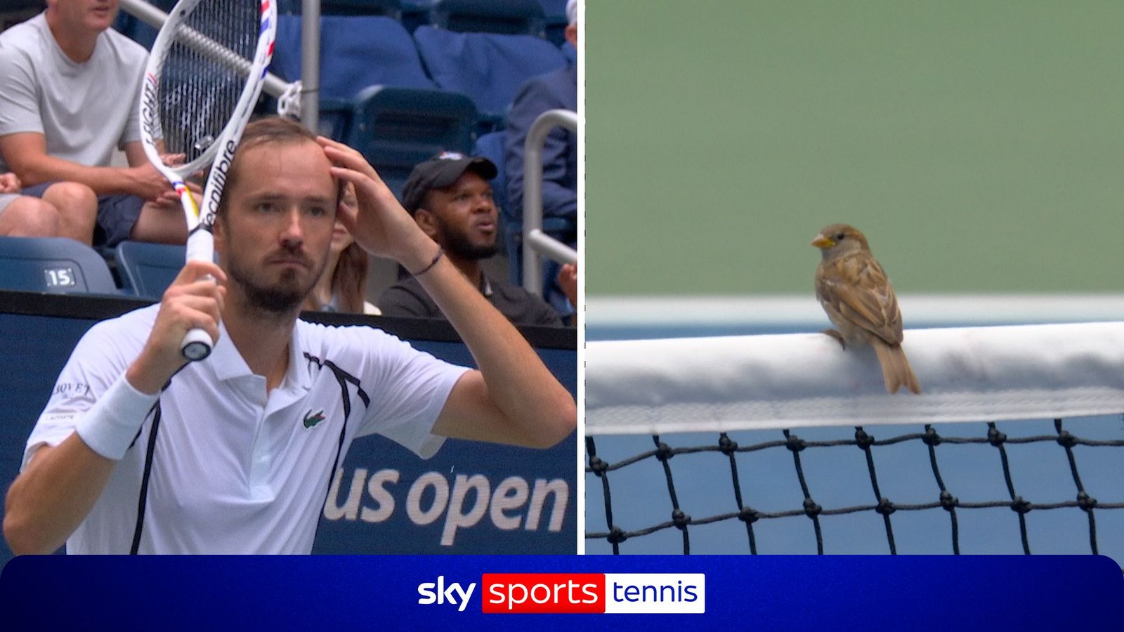 Daniil Medvedev Frustrated as Birds Disrupt US Open Match